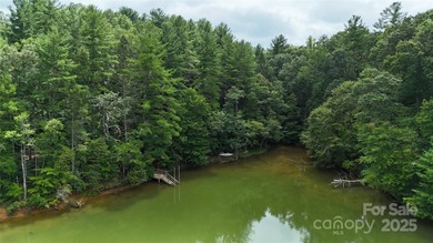 Rare 11.45 Acres on Lake James - Private Cove & Development - photo 5