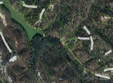 Rare 11.45 Acres on Lake James - Private Cove & Development - photo 9