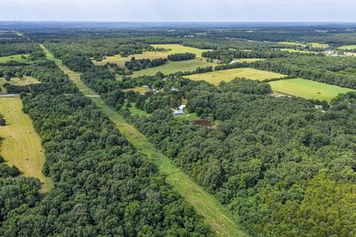 23-acre country property in the Missouri Ozarks featuring a - photo 34
