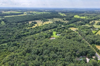 23-acre country property in the Missouri Ozarks featuring a - photo 36