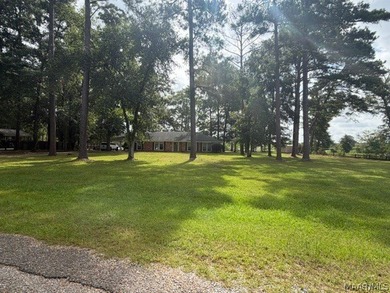 WATERFRONT LIVING IN MILLBROOK! This beautiful 3-bedroom, 2-bath - photo 5