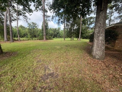WATERFRONT LIVING IN MILLBROOK! This beautiful 3-bedroom, 2-bath - photo 9