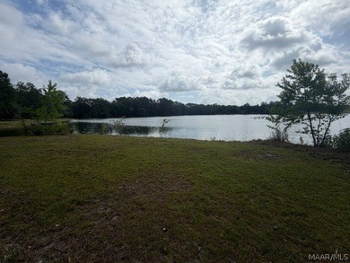 WATERFRONT LIVING IN MILLBROOK! This beautiful 3-bedroom, 2-bath - photo 10