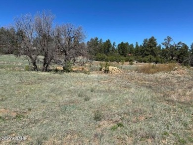 Lake Lot For Sale in Show Low, Arizona