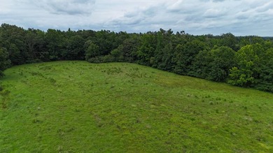 Fully Fenced, Pond, and Just 1 Mile from Hwy 82! Exceptional - photo 11