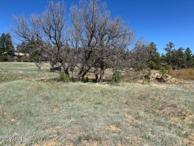 This gem of a lakefront lot is located in the Lakes II - photo 2