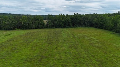 Fully Fenced, Pond, and Just 1 Mile from Hwy 82! Exceptional - photo 12