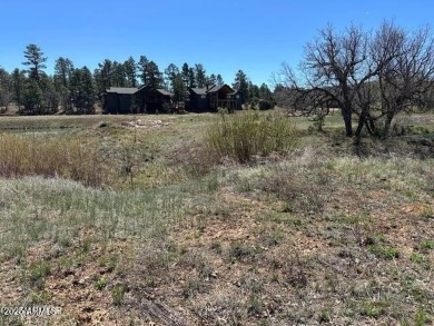This gem of a lakefront lot is located in the Lakes II - photo 3