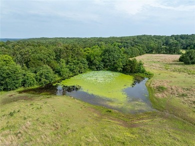 SELLER WILL CONSIDER SUBDIVIDE. This 20 acre property with a - photo 3