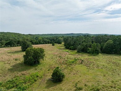 SELLER WILL CONSIDER SUBDIVIDE. This 20 acre property with a - photo 4