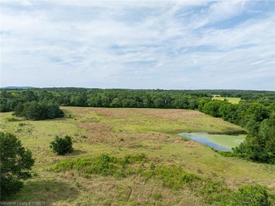 SELLER WILL CONSIDER SUBDIVIDE. This 20 acre property with a - photo 5
