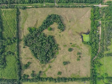 SELLER WILL CONSIDER SUBDIVIDE. This 20 acre property with a - photo 6