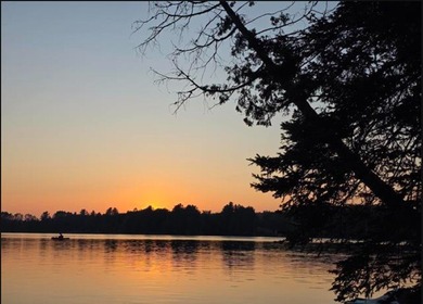 MICHIGAN INLAND LAKE WATERFRONT PARCEL FOR SALE! This property - photo 1