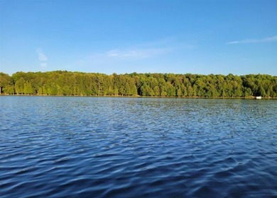 MICHIGAN INLAND LAKE WATERFRONT PARCEL FOR SALE! This property - photo 2