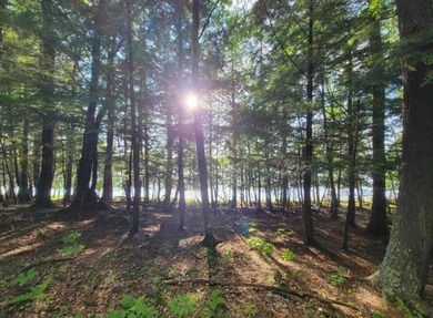 MICHIGAN INLAND LAKE WATERFRONT PARCEL FOR SALE! This property - photo 3