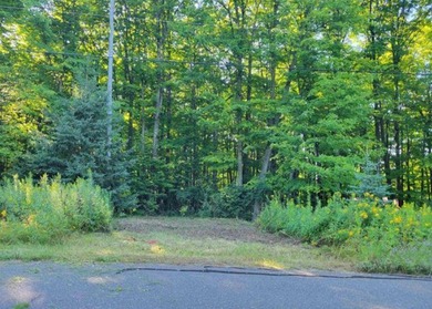 MICHIGAN INLAND LAKE WATERFRONT PARCEL FOR SALE! This property - photo 4