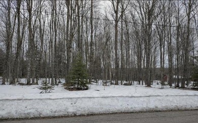 MICHIGAN INLAND LAKE WATERFRONT PARCEL FOR SALE! This property - photo 5