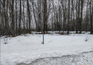 MICHIGAN INLAND LAKE WATERFRONT PARCEL FOR SALE! This property - photo 6