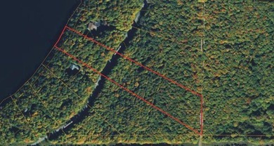 MICHIGAN INLAND LAKE WATERFRONT PARCEL FOR SALE! This property - photo 7