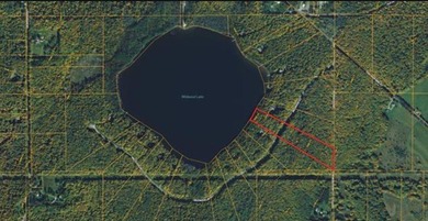 MICHIGAN INLAND LAKE WATERFRONT PARCEL FOR SALE! This property - photo 8