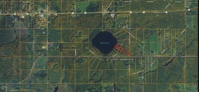 MICHIGAN INLAND LAKE WATERFRONT PARCEL FOR SALE! This property - photo 9