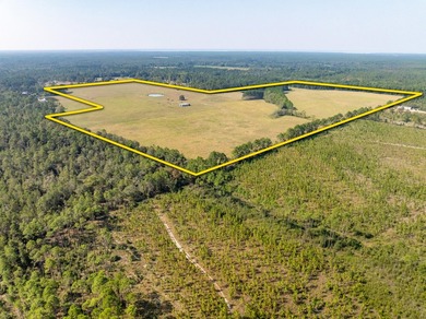 Extraordinary +/-117 prime acres located in Walton County of - photo 2