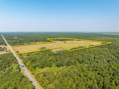 Extraordinary +/-117 prime acres located in Walton County of - photo 3