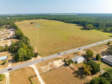 Extraordinary +/-117 prime acres located in Walton County of - photo 6