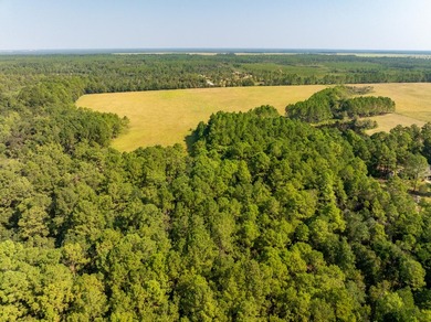 Extraordinary +/-117 prime acres located in Walton County of - photo 7