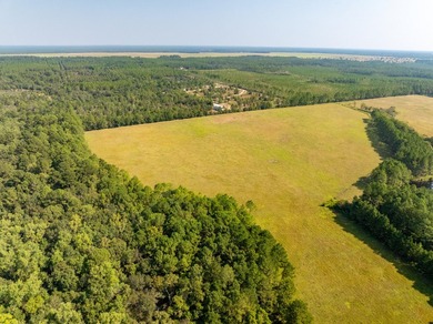 Extraordinary +/-117 prime acres located in Walton County of - photo 8