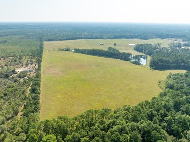 Extraordinary +/-117 prime acres located in Walton County of - photo 9