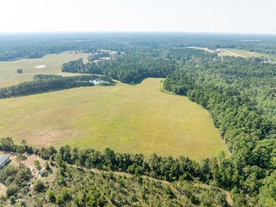 Extraordinary +/-117 prime acres located in Walton County of - photo 10