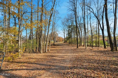 Come check out this rare 3-acre lake lot opportunity in - photo 10