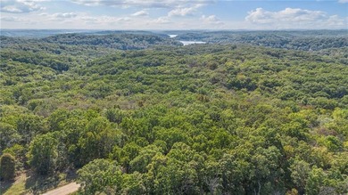 Nearly 80 acres of Lake of the Ozarks land in Gravois Mills, MO - photo 11