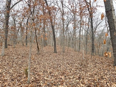 Nearly 80 acres of Lake of the Ozarks land in Gravois Mills, MO - photo 12
