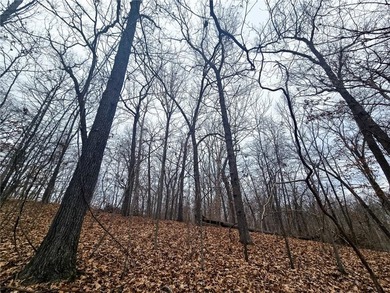 Nearly 80 acres of Lake of the Ozarks land in Gravois Mills, MO - photo 15