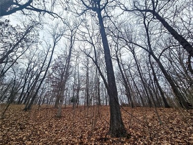 Nearly 80 acres of Lake of the Ozarks land in Gravois Mills, MO - photo 16