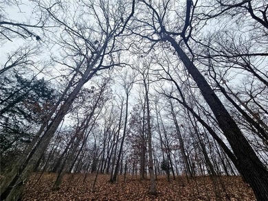 Nearly 80 acres of Lake of the Ozarks land in Gravois Mills, MO - photo 17