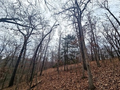 Nearly 80 acres of Lake of the Ozarks land in Gravois Mills, MO - photo 18