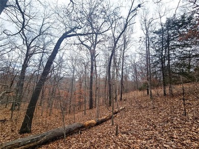 Nearly 80 acres of Lake of the Ozarks land in Gravois Mills, MO - photo 19