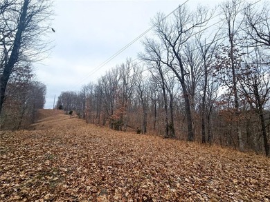 Nearly 80 acres of Lake of the Ozarks land in Gravois Mills, MO - photo 23