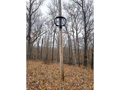 Nearly 80 acres of Lake of the Ozarks land in Gravois Mills, MO - photo 26