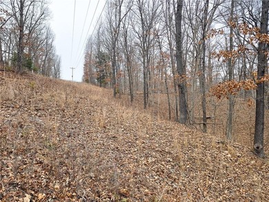 Nearly 80 acres of Lake of the Ozarks land in Gravois Mills, MO - photo 27