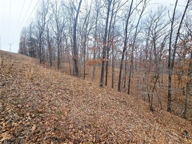 Nearly 80 acres of Lake of the Ozarks land in Gravois Mills, MO - photo 28