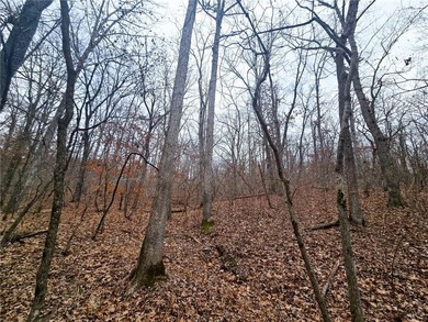 Nearly 80 acres of Lake of the Ozarks land in Gravois Mills, MO - photo 29