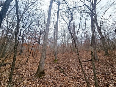 Nearly 80 acres of Lake of the Ozarks land in Gravois Mills, MO - photo 30