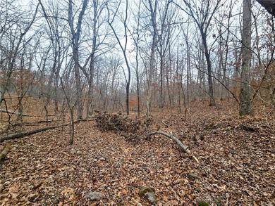Nearly 80 acres of Lake of the Ozarks land in Gravois Mills, MO - photo 31