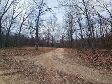 Nearly 80 acres of Lake of the Ozarks land in Gravois Mills, MO - photo 33