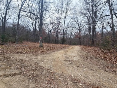 Nearly 80 acres of Lake of the Ozarks land in Gravois Mills, MO - photo 34