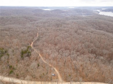 Nearly 80 acres of Lake of the Ozarks land in Gravois Mills, MO - photo 36